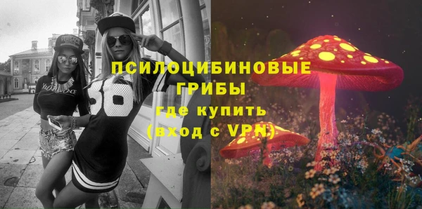 спиды Богданович