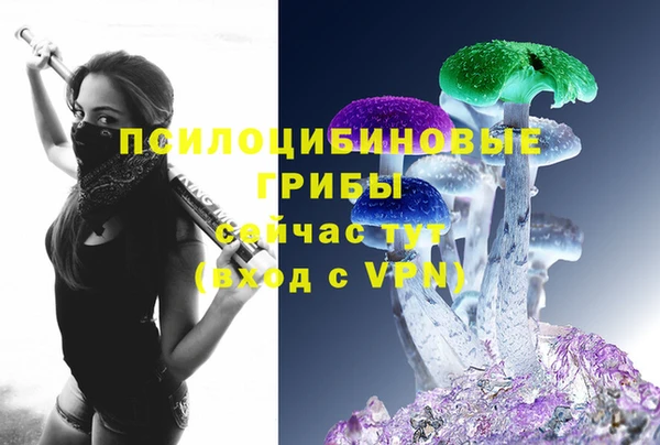 спиды Богданович