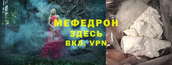 спиды Богданович